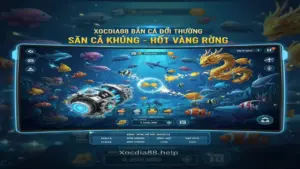 Cách Quét Sạch Đàn Cá Chỉ Trong 1 Nốt Nhạc Tại Xocdia88