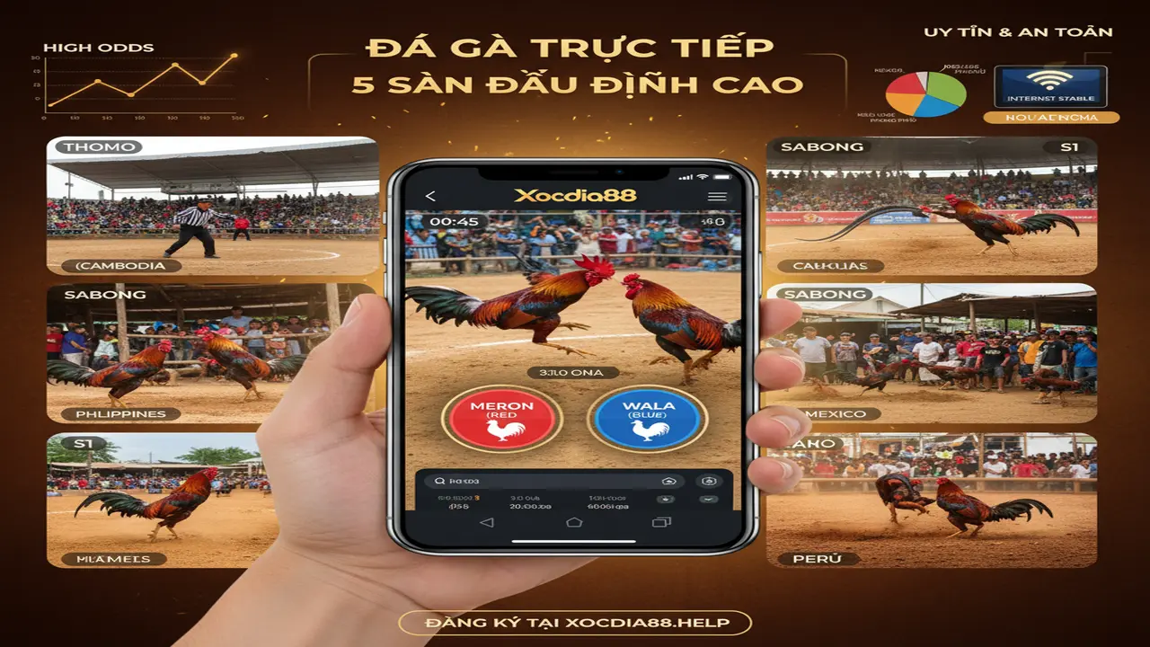 5 đấu trường đá gà trực tiếp hot nhất Xocdia88